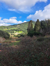 terrain à Sartene (2A)