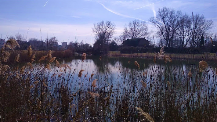 Mirror Lake. di Junēbu