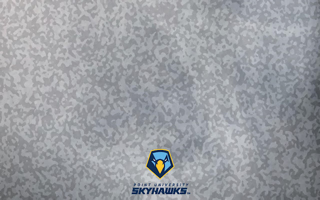 Camo Skyhawks 2019 chrome extension