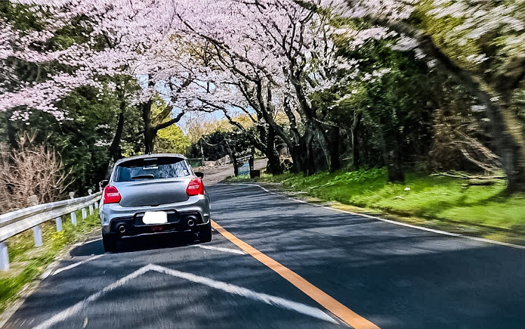 スイフトスポーツのドライブ・スイフトスポーツ・BRZ・花見に関するカスタム事例の投稿画像3枚目