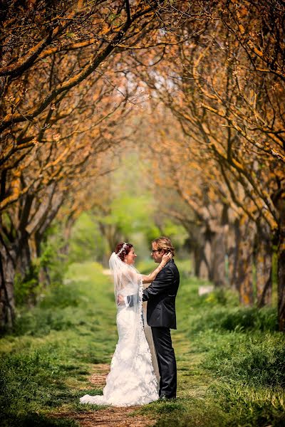 Fotografo di matrimoni Emilio Navas (emilionavas). Foto del 11 giugno 2015