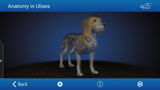 免費下載醫療APP|Osteology in Dogs app開箱文|APP開箱王