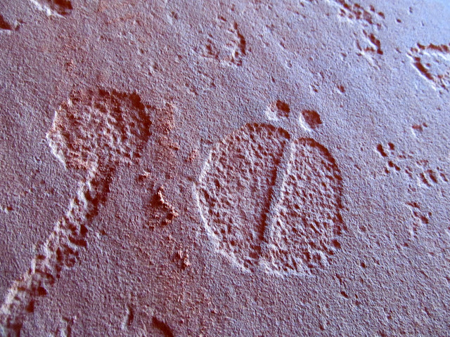 Naming Cave petroglyphs