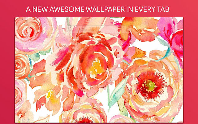 Peach Wallpaper HD Custom New Tab