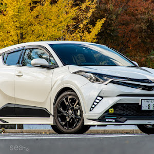 C-HR NGX50