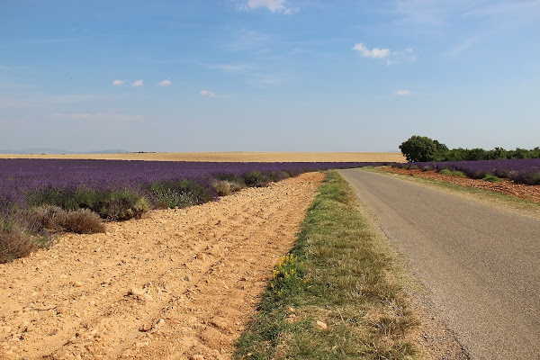 Piena estate di annalisaiuiuiui