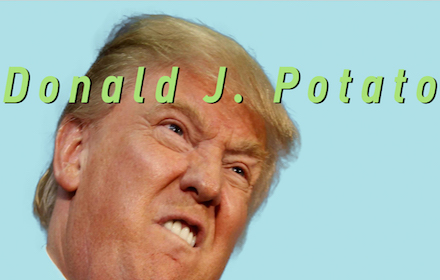 Donald Potato small promo image