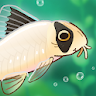 Pondlife — Fish, Frogs & More! icon