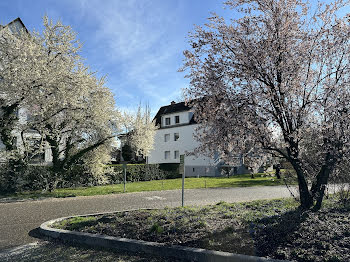 appartement à Strasbourg (67)