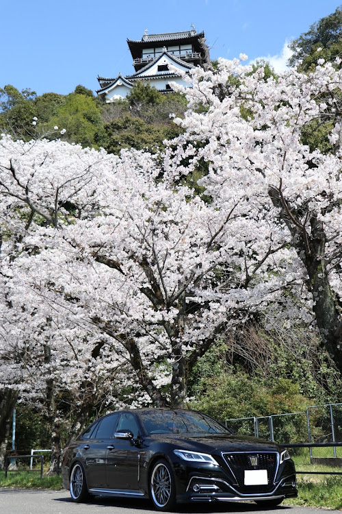 の投稿画像8枚目