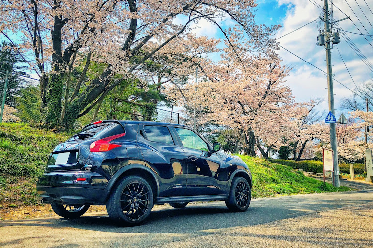 ジュークの桜と愛車・桜・コロナウイルスに負けるな・ジューク・日産ジュークに関するカスタム事例の投稿画像2枚目