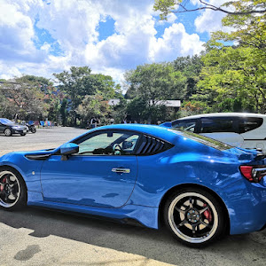 86 ZN6
