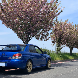 インプレッサ WRX STI GDB