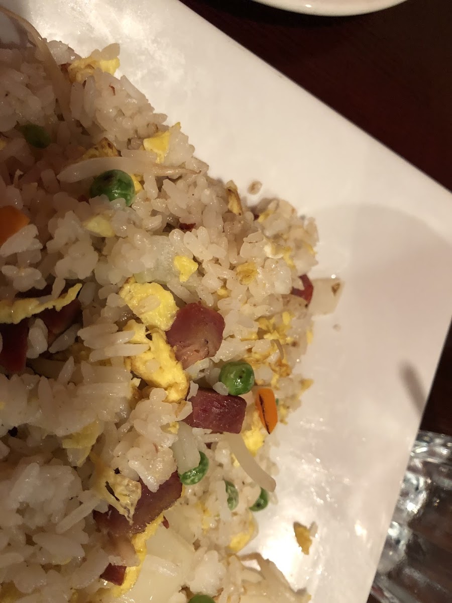 Pork fried rice