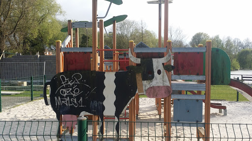 Cow in the Play Land