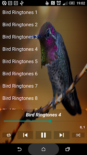 Bird Ringtones