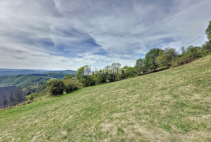  Vente Terrain à bâtir - 4 437m² à Saint-Geniez-d'Olt (12130) 