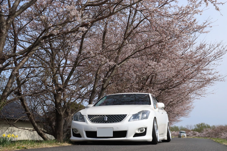 クラウンアスリートの一眼レフ練習・一眼レフ撮影・ドライブ・桜とコラボに関するカスタム事例の投稿画像1枚目