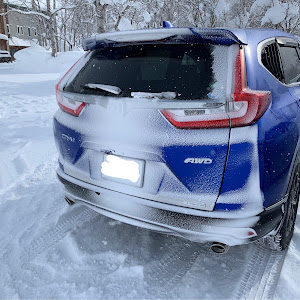 CR-V RW2