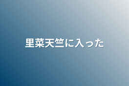 里菜天竺に入った