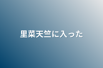 里菜天竺に入った