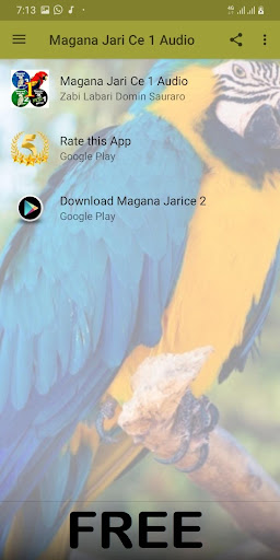 Magana Jarice 1 Audio