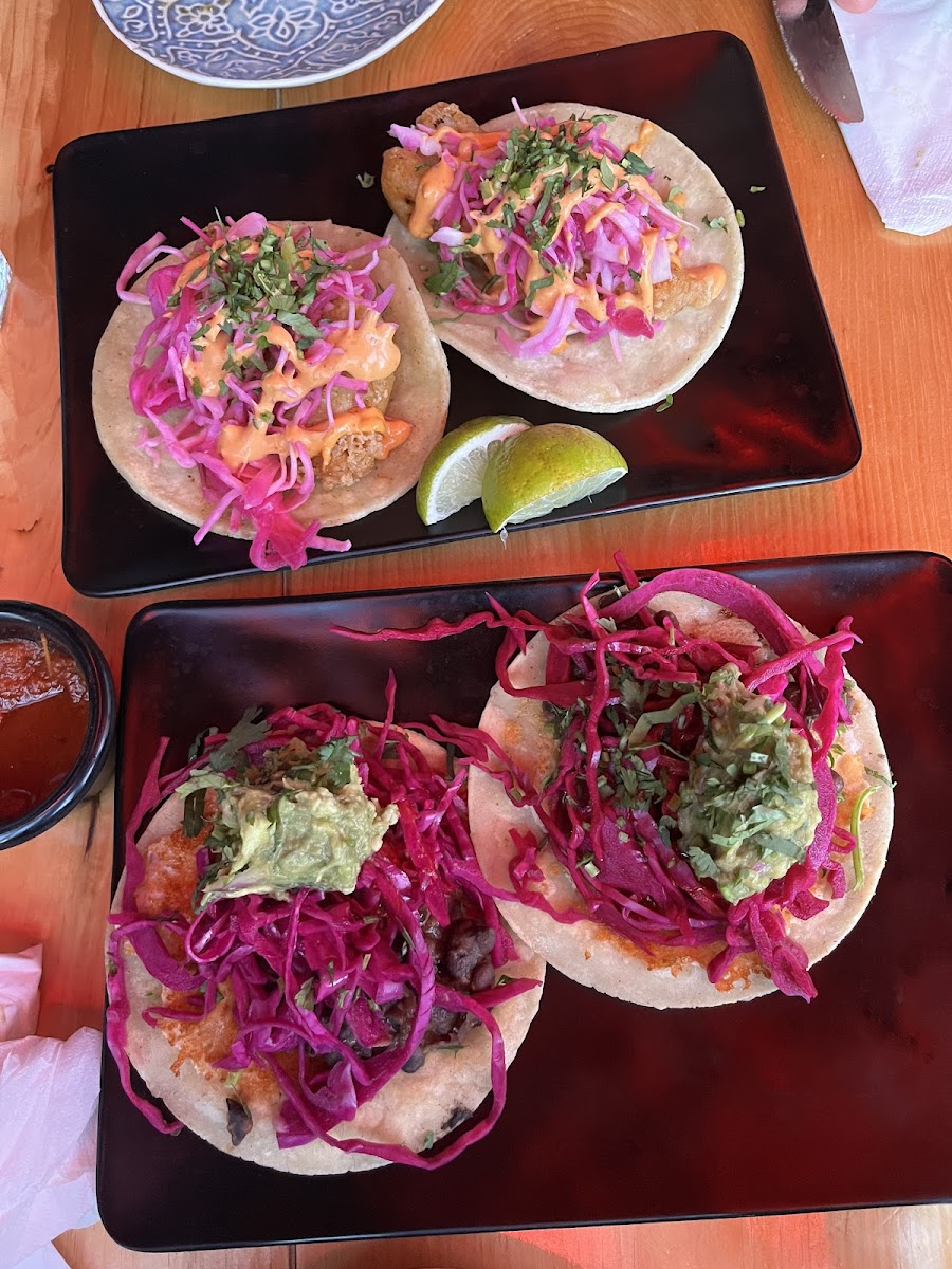 Tacos de pescado (top) and tacos de frijoles negro (bottom)