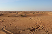 Dune bashing in the Dubai Desert Conservation Reserve.