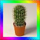 Download Cactus Plant Design Ideas For PC Windows and Mac 1.0