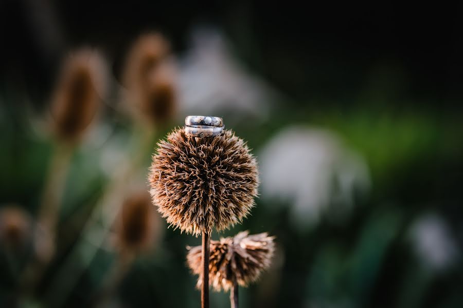 Photographe de mariage Nadine Lotze (lumoid). Photo du 4 janvier