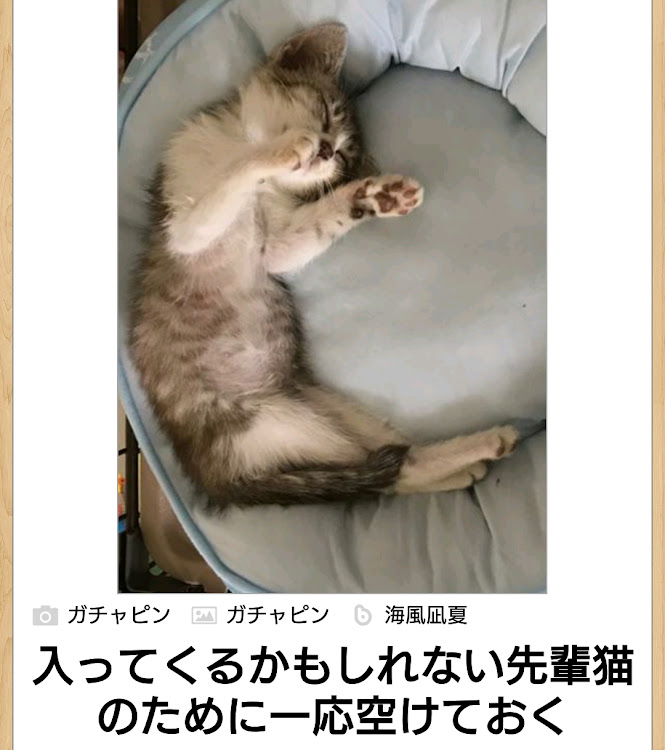 フィットのもっちーさんの3秒で笑いまshowに関するカスタム事例の投稿画像55枚目