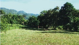 Lote En Venta - Bagazal, Villeta