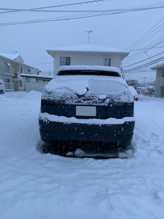 ハリアーのエルニーニョ現象に関するカスタム事例の投稿画像2枚目