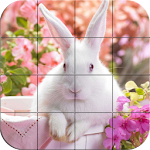 Cover Image of Download Puzzle - Cute bunnies 1.11 APK