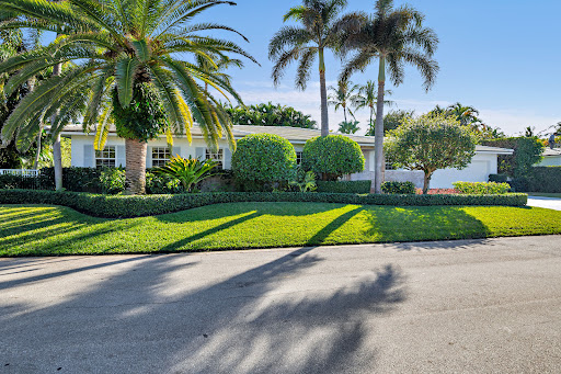 Luxury property for rent in Palm Beach (United States) - Modern villa with palm trees and neat garden
