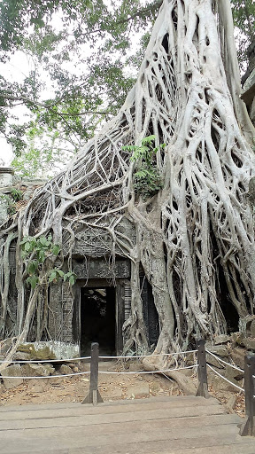 Tomb Raider Movie Temple (Ta Prohm) Cambodia 2016