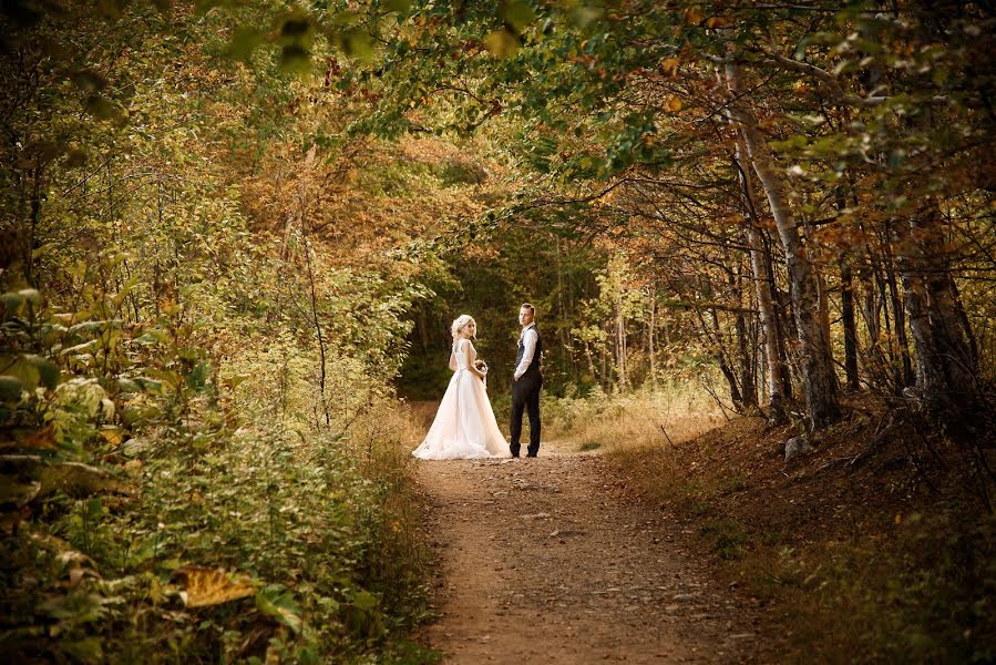 Wedding photographer Nikolay Mikhalchenko (nicklast). Photo of 22 November 2017