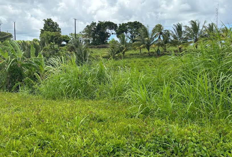  Vente Terrain à bâtir - 1 000m² à La Trinité (97220) 