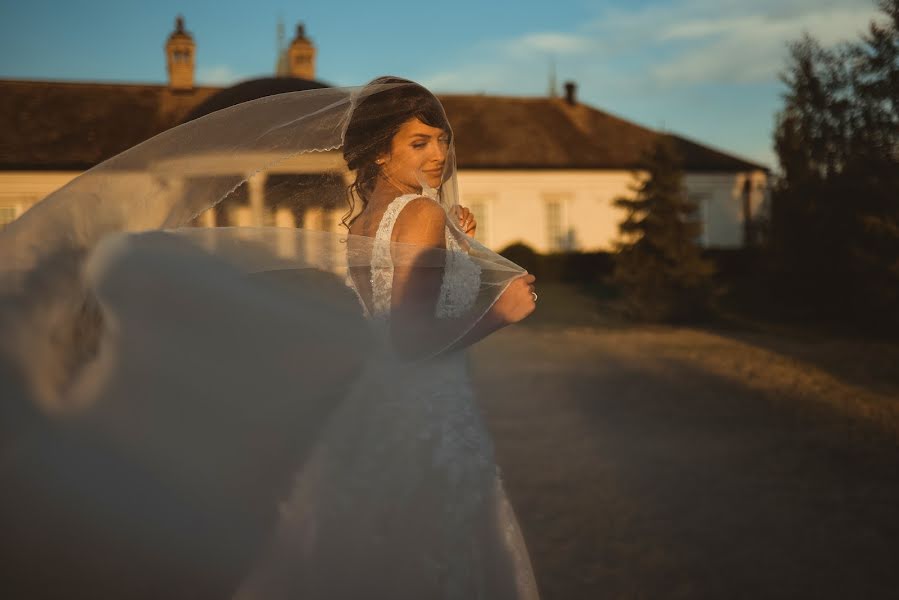 Fotografo di matrimoni Nikola Segan (nikolasegan). Foto del 18 maggio 2022