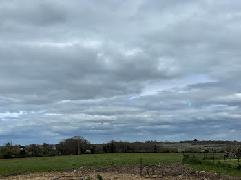 terrain à Le Tour-du-Parc (56)