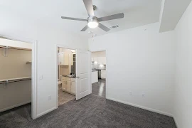 Bedroom with plush carpet, ceiling fan, light walls and trim, attached bathroom, and a walk-in closet