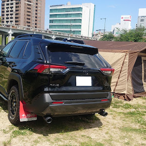 RAV4 MXAA54