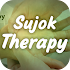 Sujok Therapy and Treatment1.1