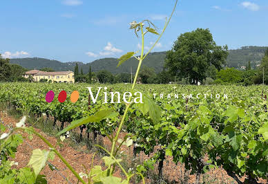 Vignoble avec piscine et dépendances 12