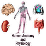 Cover Image of Download Human Anatomy and Physiology 8 APK