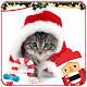 Download Pets White Christmas For PC Windows and Mac 1.1.4