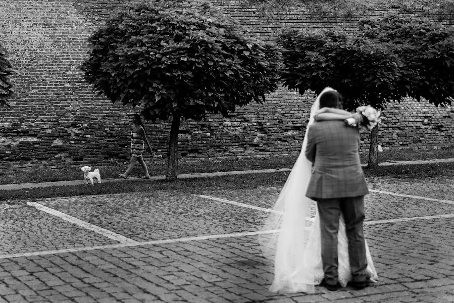 Fotógrafo de casamento Paul Budusan (paulbudusan). Foto de 5 de novembro 2018