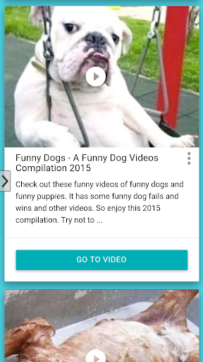 Funny Dogs HD