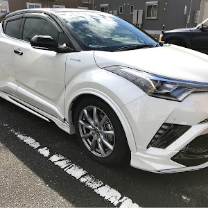 C-HR ZYX10