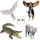 English Animals Vocabulary Download on Windows